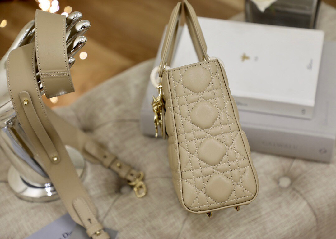 Small Lady Dior Bag