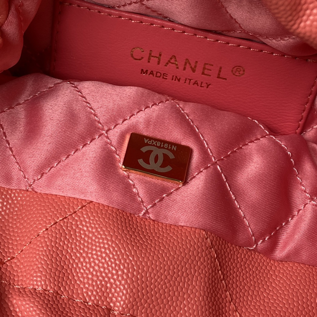 Chanle 22 Backpack Mini