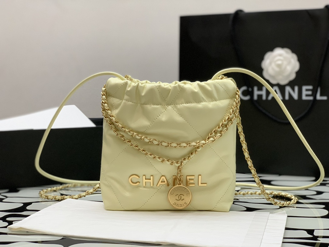 Chanle 22 Backpack Mini