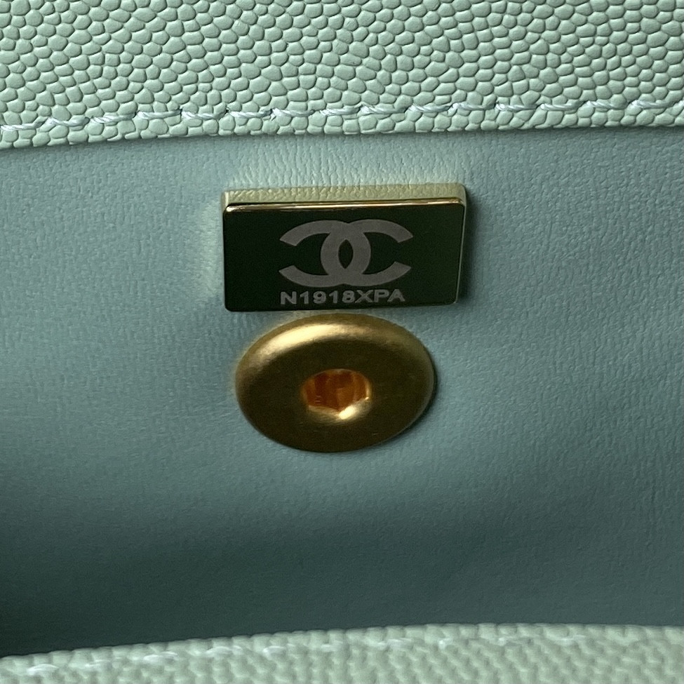 Chanle Coco Handle Bag