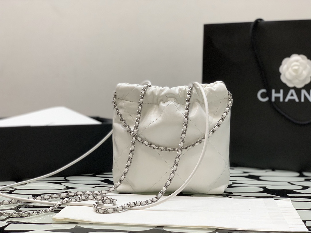 Chanle 22 Backpack Mini