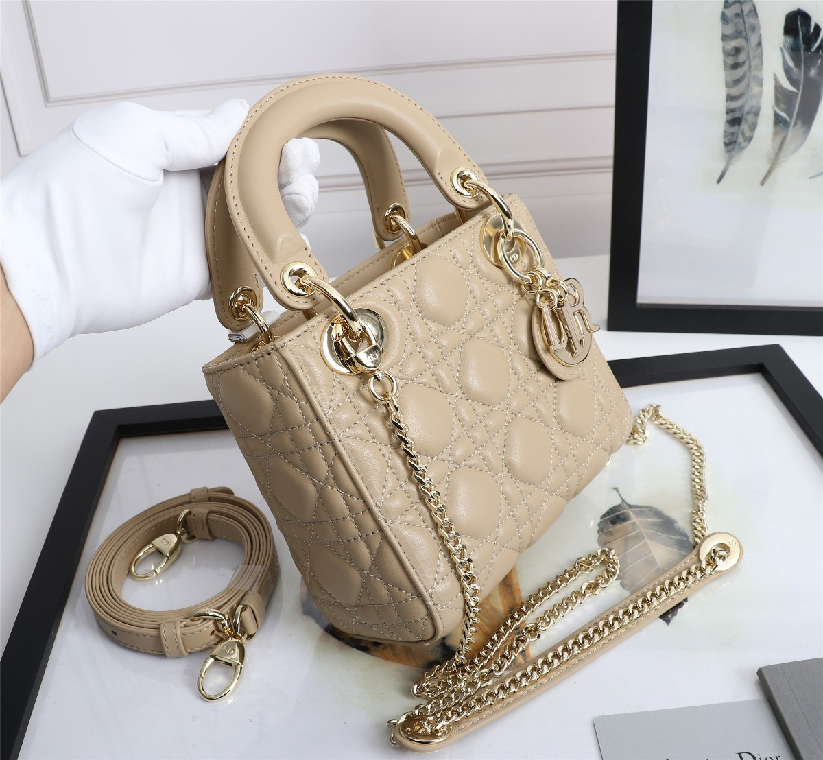 Mini Lady Dior Bag