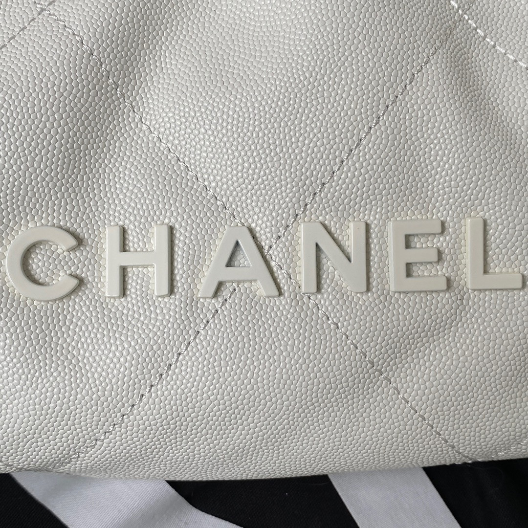 Chanle 22 Backpack Mini