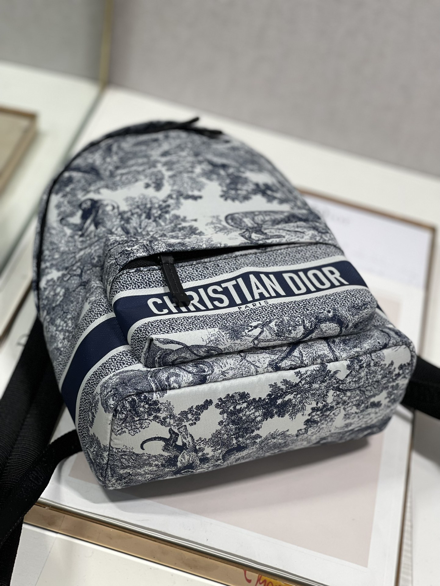Dior Backpack