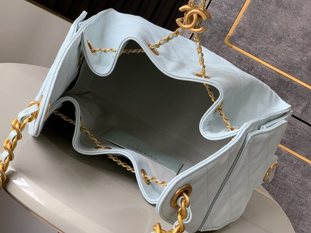 Chanel 25s Hobo Bag