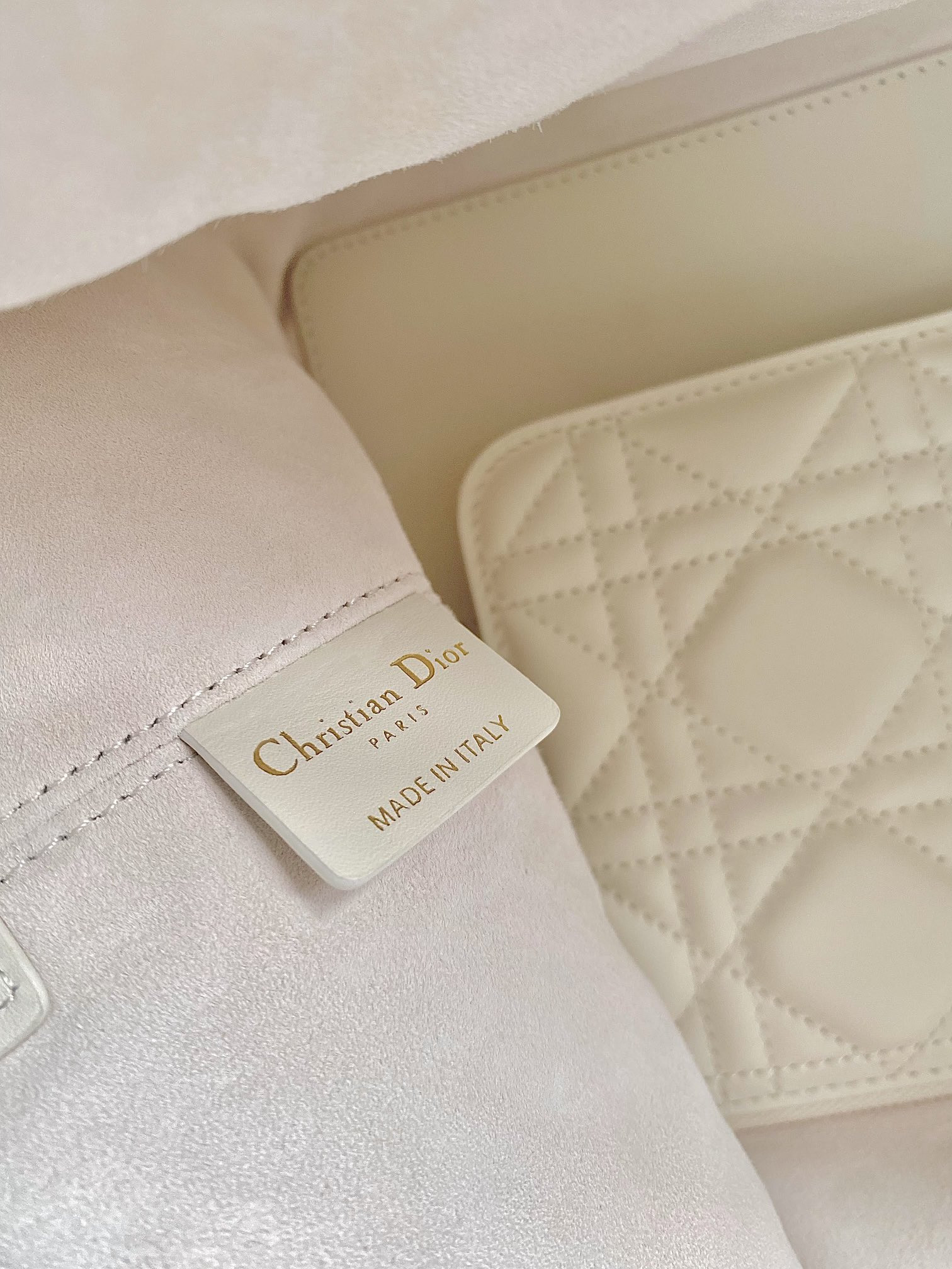 Dior Toujours Bag