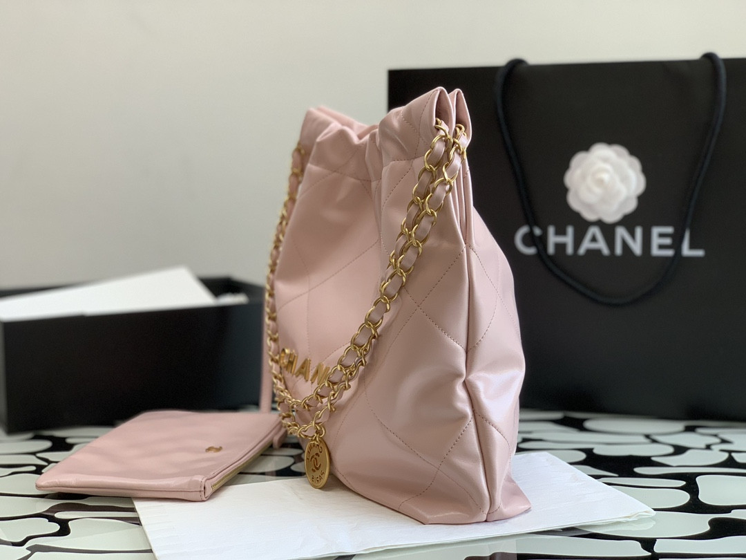 Chanle 22 Backpack