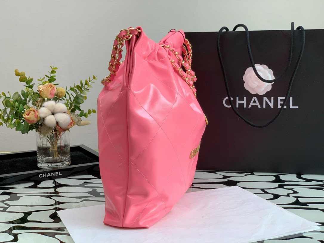 Chanle 22 Backpack