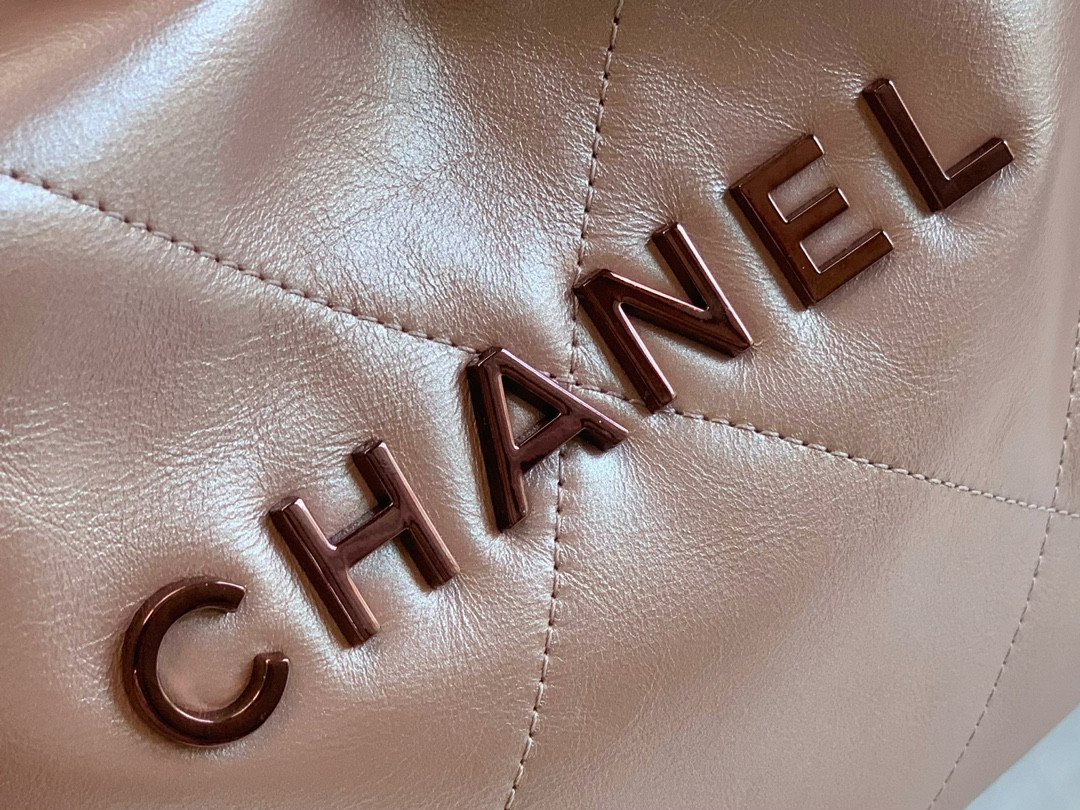 Chanle 22 Backpack