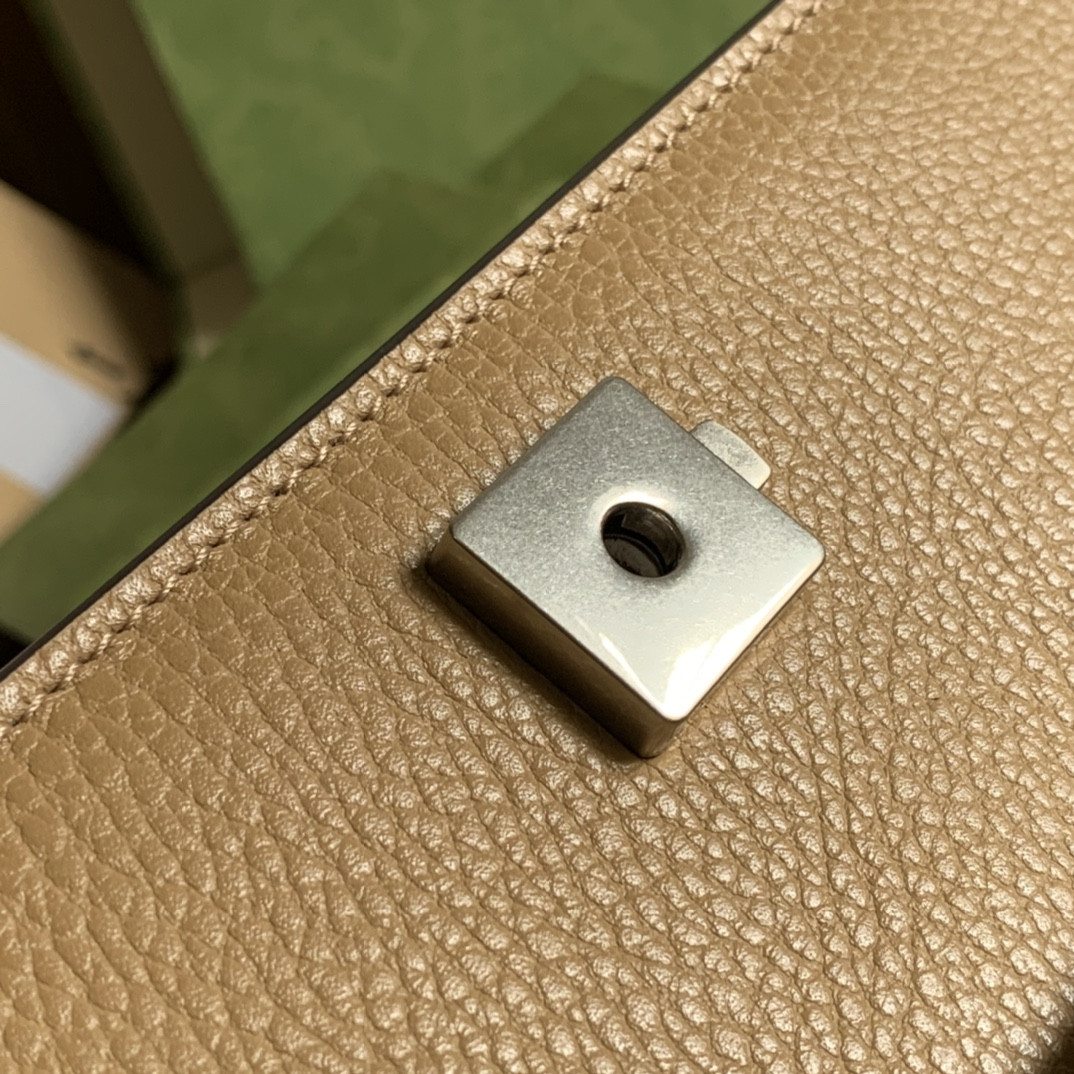 G*u*i dionysus bag