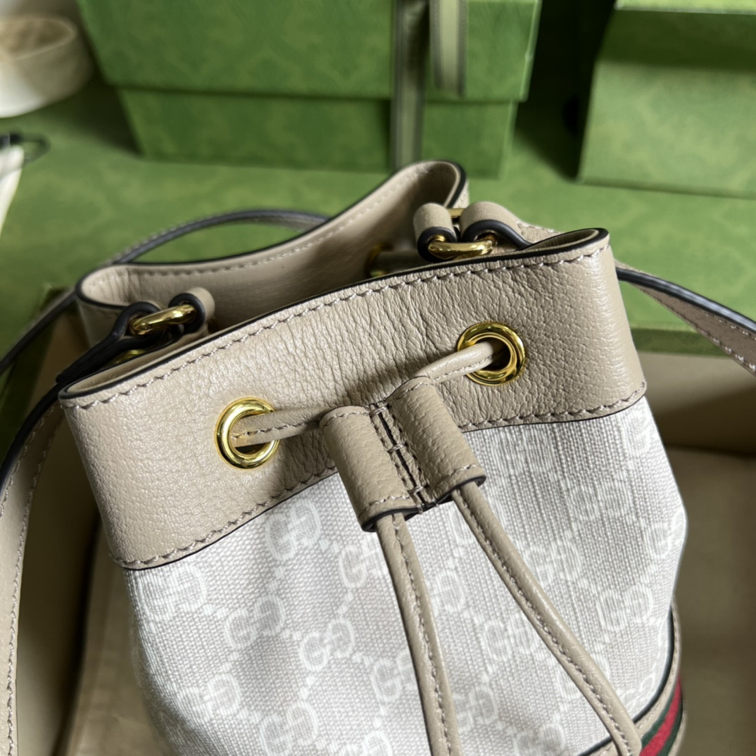 G*u*i ophidia bag