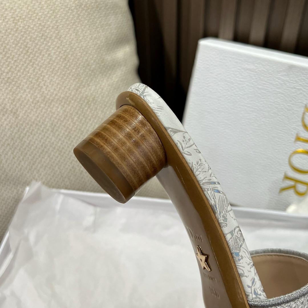 Dior Slippers