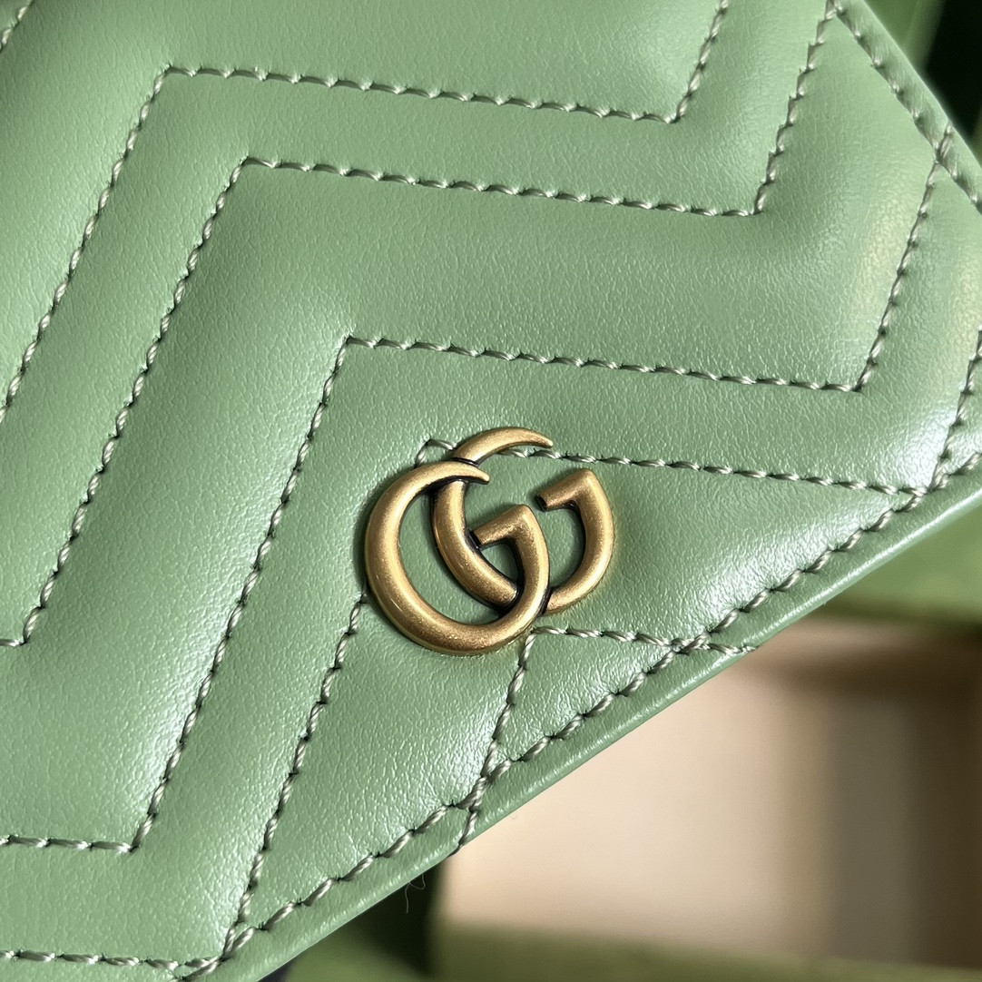 G*u*i gg marmont bag