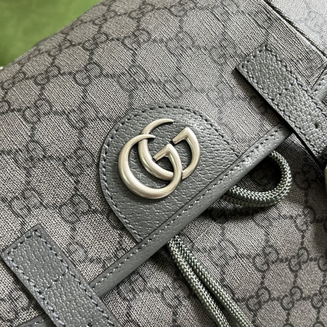 G*u*i ophidia bag